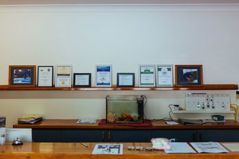 Federation Gardens & Possums Hideaway - Accommodation Port Macquarie 62