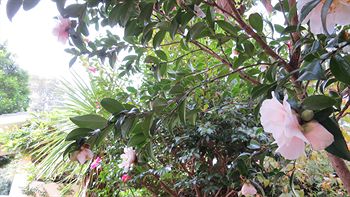 Waldorf Hornsby Residential Apartments - Accommodation Port Macquarie 3