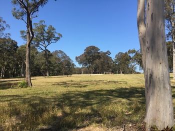 Worrowing At Jervis Bay - Accommodation Port Macquarie 81
