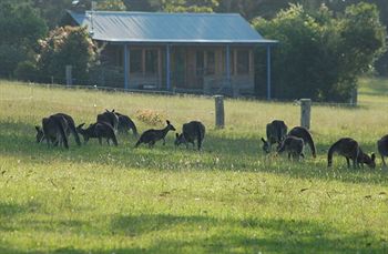 Worrowing At Jervis Bay - Accommodation Port Macquarie 31