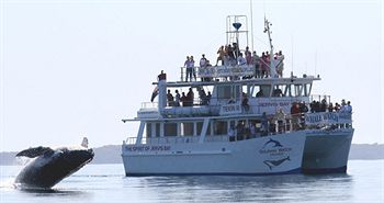 Worrowing At Jervis Bay - Accommodation Port Macquarie 32