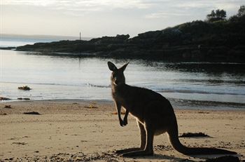 Worrowing At Jervis Bay - Accommodation Port Macquarie 35