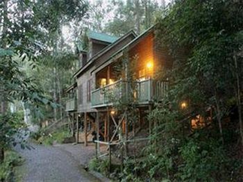 Barrington Wilderness Cedar Lodge Accommodation - Accommodation Port Macquarie 3