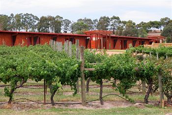 De'Vine Escape - Accommodation Port Macquarie 4
