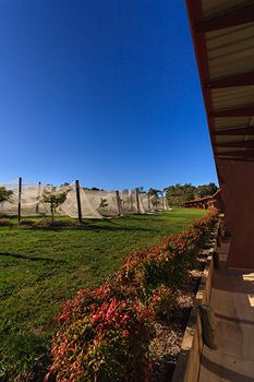De'Vine Escape - Accommodation Port Macquarie 5