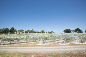 De'Vine Escape - Accommodation Port Macquarie 12