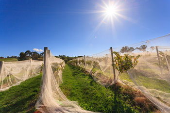 De'Vine Escape - Accommodation Port Macquarie 14