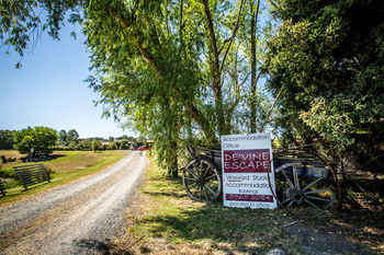 De'Vine Escape - Accommodation Port Macquarie 22