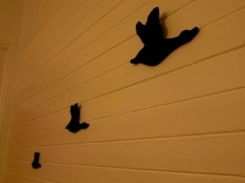 Piccolo - Accommodation Port Macquarie 13