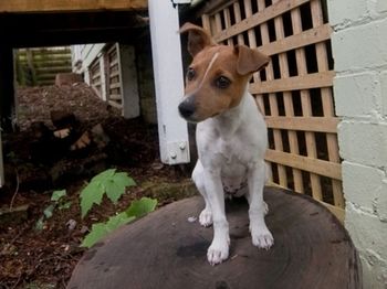 Piccolo - Accommodation Port Macquarie 19