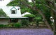 The African Cottage - thumb 6