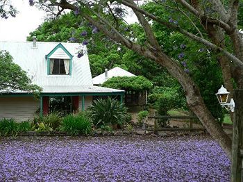 The African Cottage - Accommodation Port Macquarie 6