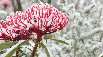Valley Of The Waters B&B - Accommodation Port Macquarie 12