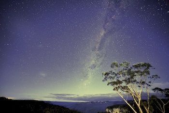 Valley Of The Waters B&B - Accommodation Port Macquarie 17