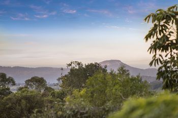 Eden Lodge - Accommodation Port Macquarie 30