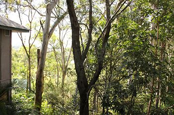 Arabella Guesthouse - Accommodation Port Macquarie 18