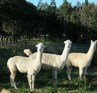 Blackwattle Farm BampB and Farm Stay - Accommodation Port Macquarie