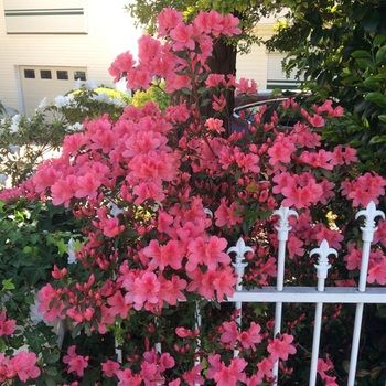 North Ryde Guest House - Accommodation Port Macquarie 31