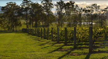 H Boutique Hotel - Accommodation Port Macquarie 34