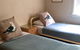 Guesthouse 83 - thumb 2