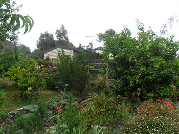 Australian Home Away @ Wonga Park Brushy Creek - Accommodation Port Macquarie 14