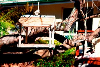 Comfort Inn Redleaf Resort - Accommodation Port Macquarie 5