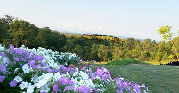Wine Country Villas - Accommodation Port Macquarie 27