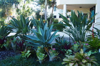 Mirra Chana - Accommodation Port Macquarie 12