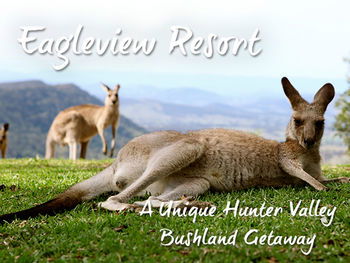 Eagleview Resort - Accommodation Port Macquarie 45