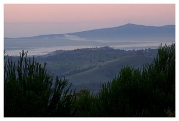 Eagleview Resort - Accommodation Port Macquarie 74