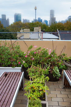 Eva's Backpackers - Accommodation Port Macquarie 40