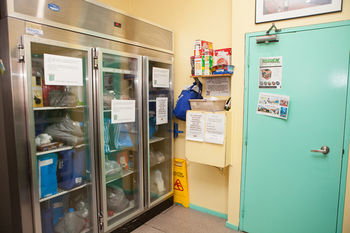 Eva's Backpackers - Accommodation Port Macquarie 46