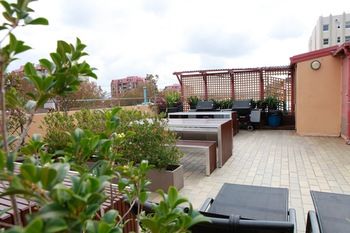 Eva's Backpackers - Accommodation Port Macquarie 48