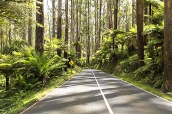 Vibe Hotel Marysville - Accommodation Port Macquarie 19