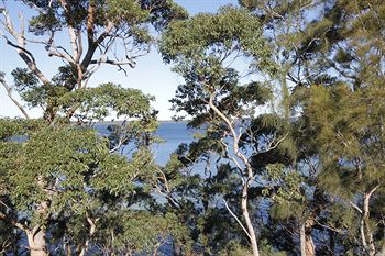 The Edgewater Bed & Breakfast - Accommodation Port Macquarie 0