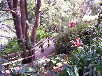 The Falls Montville - Accommodation Port Macquarie 3