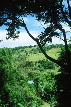 The Falls Montville - Accommodation Port Macquarie 5