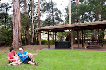 BIG4 Yarra Valley Holiday Park - Accommodation Port Macquarie 0