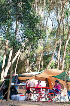 BIG4 Yarra Valley Holiday Park - Accommodation Port Macquarie 8