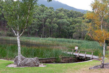 BIG4 Yarra Valley Holiday Park - Accommodation Port Macquarie 12