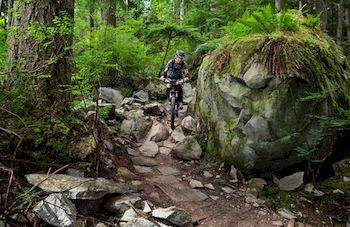 Mountain Element Retreats - Accommodation Port Macquarie 9
