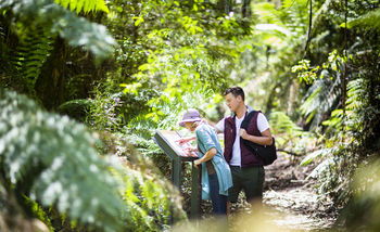 Mountain Element Retreats - Accommodation Port Macquarie 10