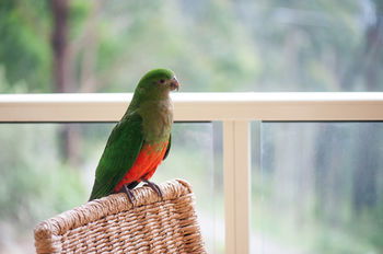 Mountain Element Retreats - Accommodation Port Macquarie 13