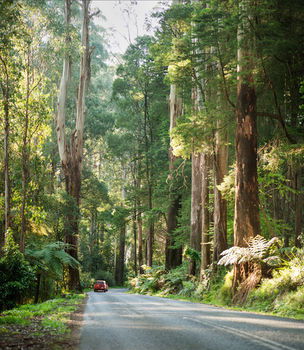 Mountain Element Retreats - Accommodation Port Macquarie 15