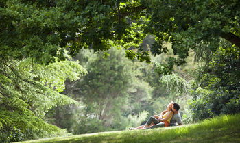 Mountain Element Retreats - Accommodation Port Macquarie 16