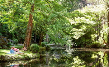 Mountain Element Retreats - Accommodation Port Macquarie 17
