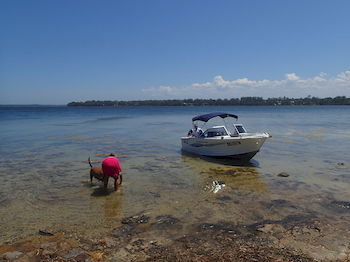Dungowan Waterfront Apartments - Accommodation Port Macquarie 39