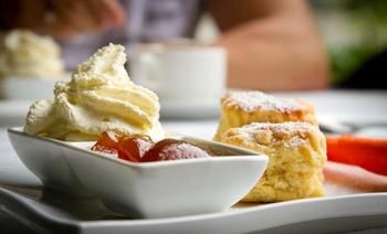 Riverwood Downs Mountain Valley Resort - Accommodation Port Macquarie 1