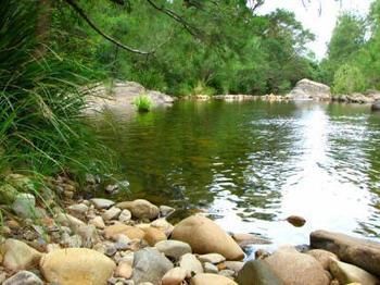 Riverwood Downs Mountain Valley Resort - Accommodation Port Macquarie 9