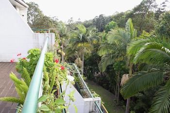 Palm Court Noosa - Accommodation Port Macquarie 7